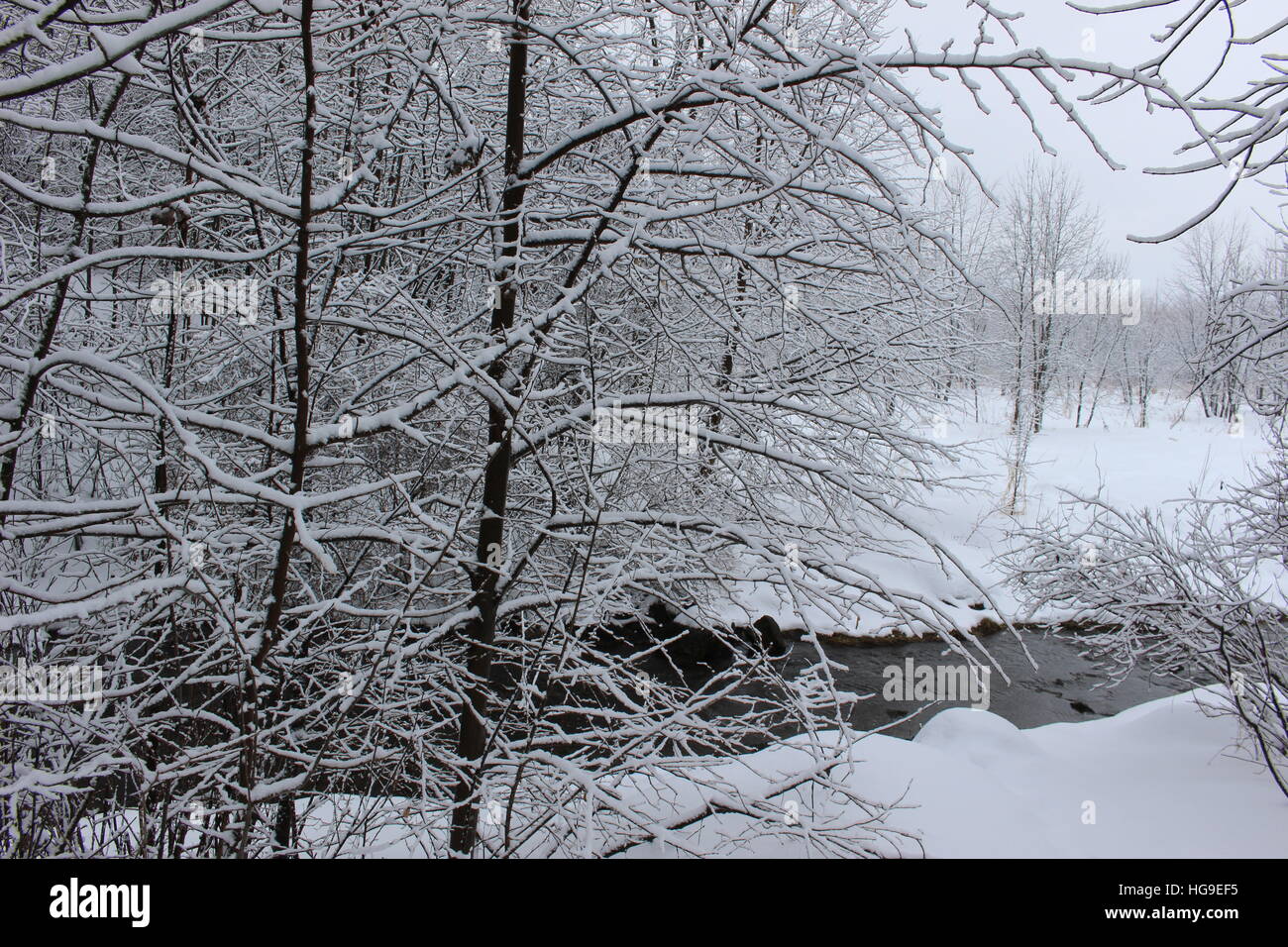 La nieve por el arroyo Foto de stock