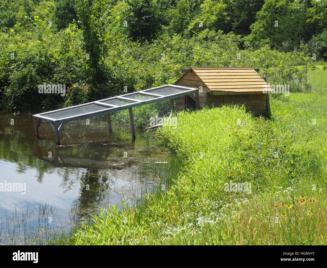 Pato de madera casa por un estanque en el país Foto de stock