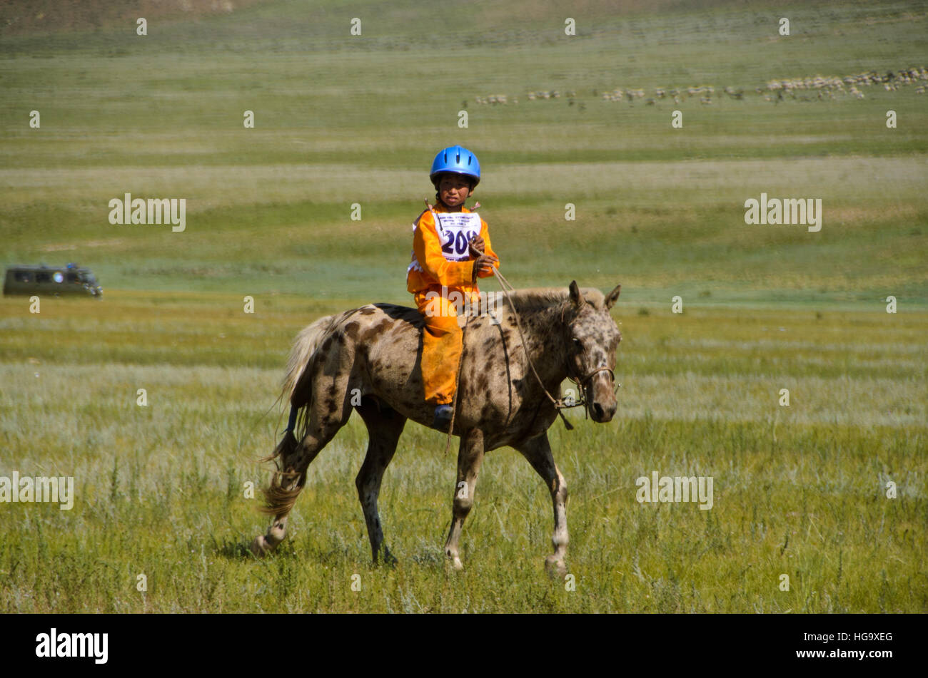 Un joven jinete de caballos de pre-calentamiento para la carrera, el Festival de Naadam, Morón. Foto de stock