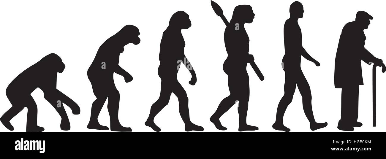 Evolucion hombre Imágenes vectoriales de stock - Alamy