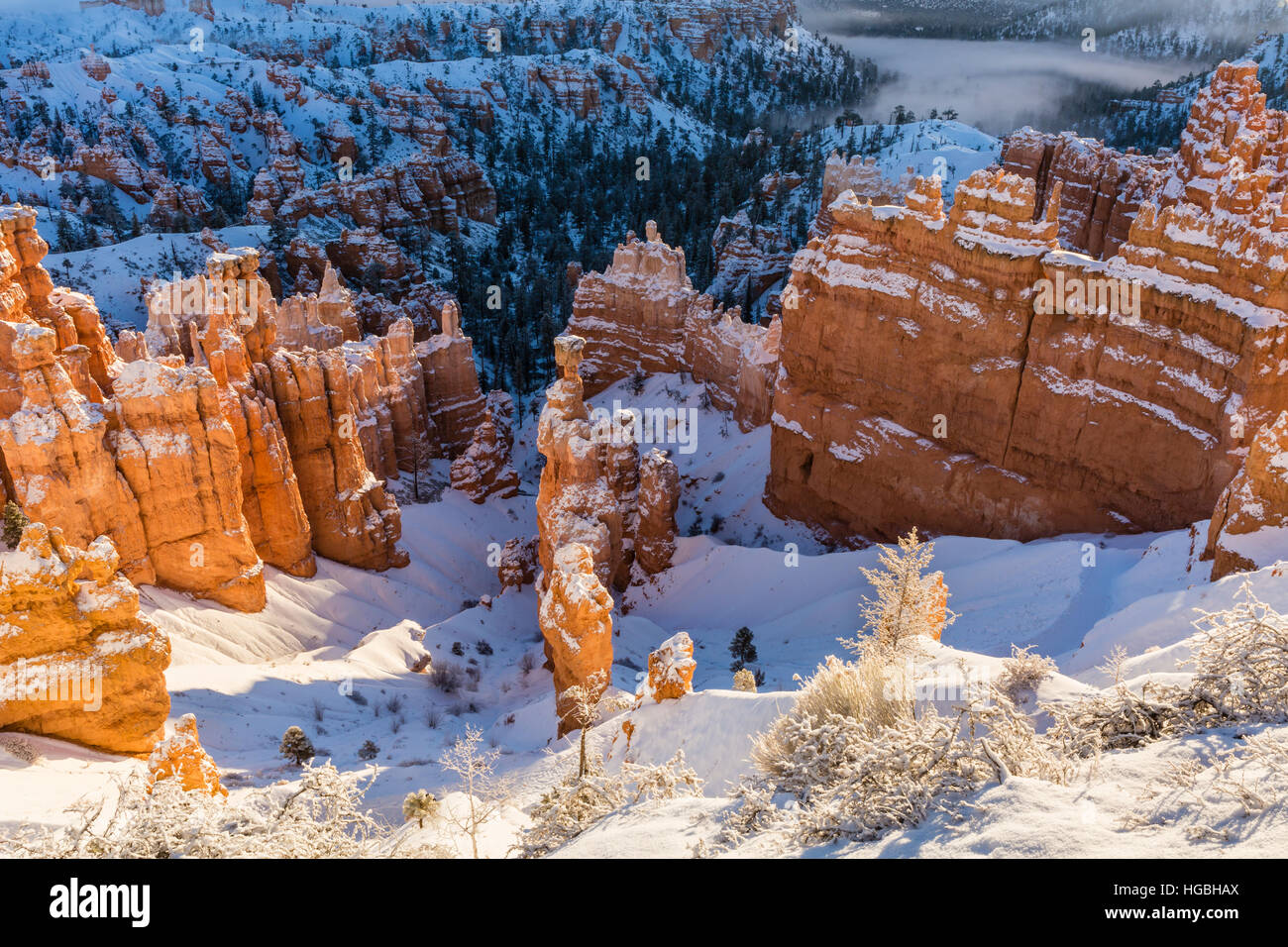 Sol de mañana sobre la nieve envuelto hoodoos cerca de Sunset Point en Bryce Canyon National Park, Utah Foto de stock