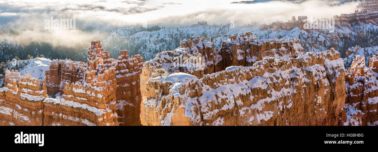 Imagen panorámica de la formación de Wall Street hoodoos cubierto de nieve tomadas desde Sunset Point en Bryce Canyon National Park, Utah (Panorama) Foto de stock