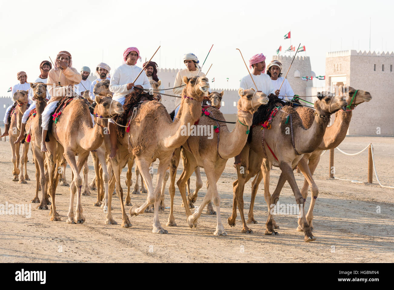 Los jinetes de camellos árabes. Los Emiratos hombres montar camellos en Al Wathba en Abu Dhabi Foto de stock
