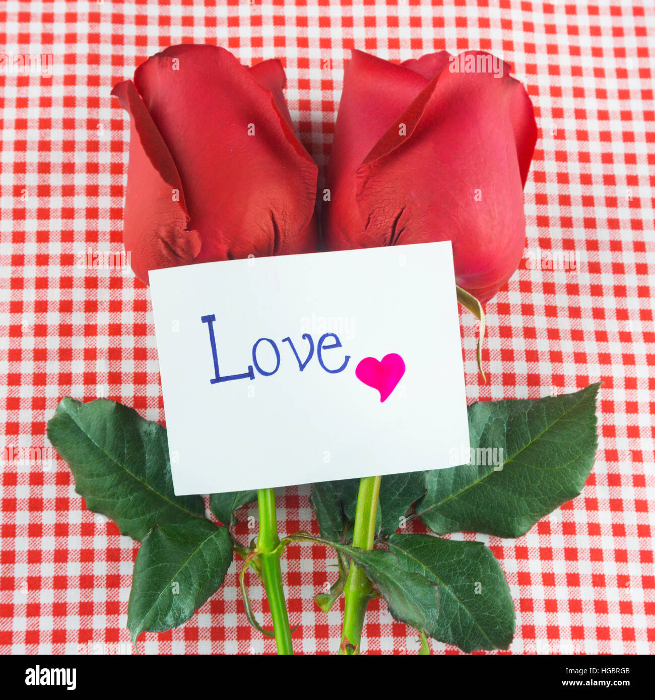 Rosa roja con el mensaje de la tarjeta. Imagen del día de San Valentín. Foto de stock