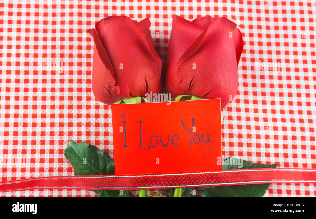 Rosa roja con el mensaje de la tarjeta. Imagen del día de San Valentín. Foto de stock