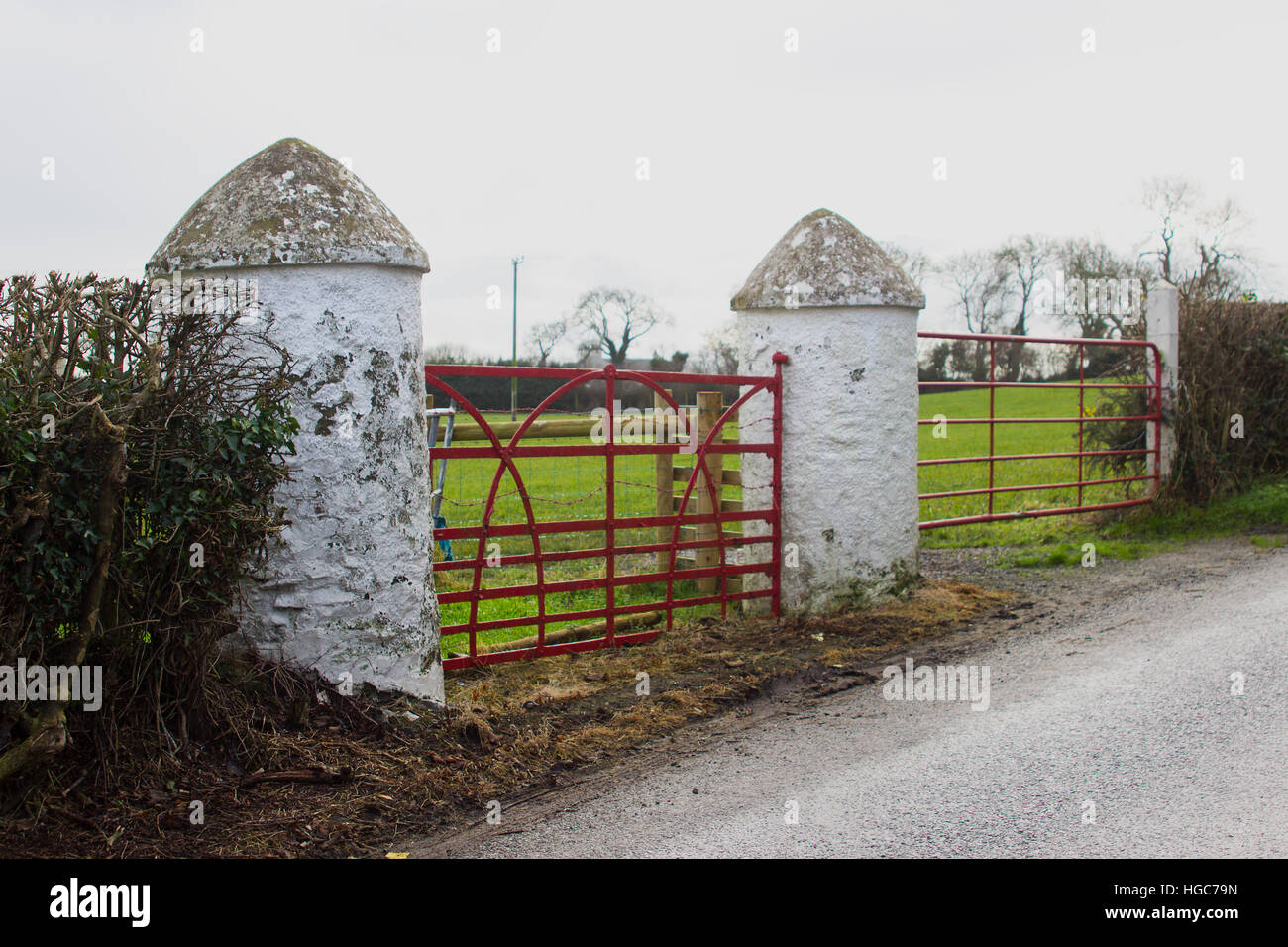 La tradición la puerta de piedra redonda pilares como se ve en la entrada de muchos campos agrícolas en Irlanda Foto de stock