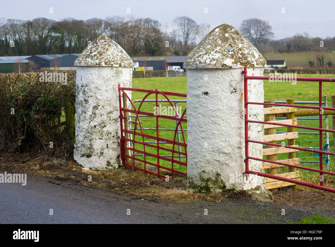 La tradición la puerta de piedra redonda pilares como se ve en la entrada de muchos campos agrícolas en Irlanda Foto de stock