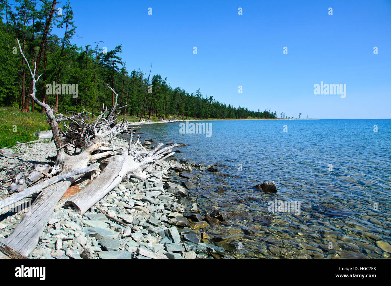Lago Khovsgol y bosques de taiga siberiano en verano. Foto de stock