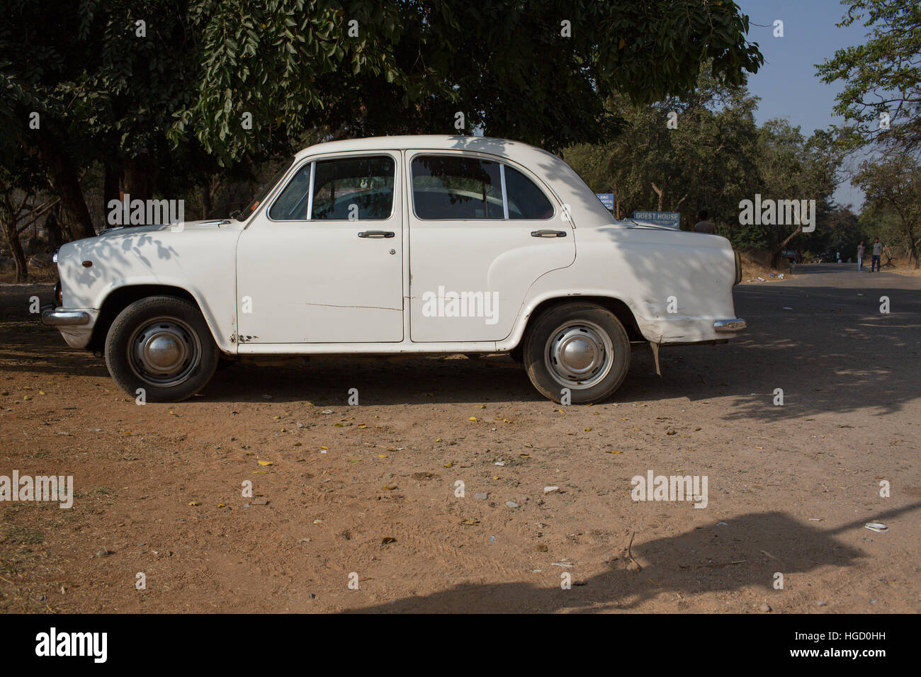 HYDERABAD, India - Enero 07,2017 un embajador blanco coche aparcado bajo un árbol en Hyderabad, India Foto de stock