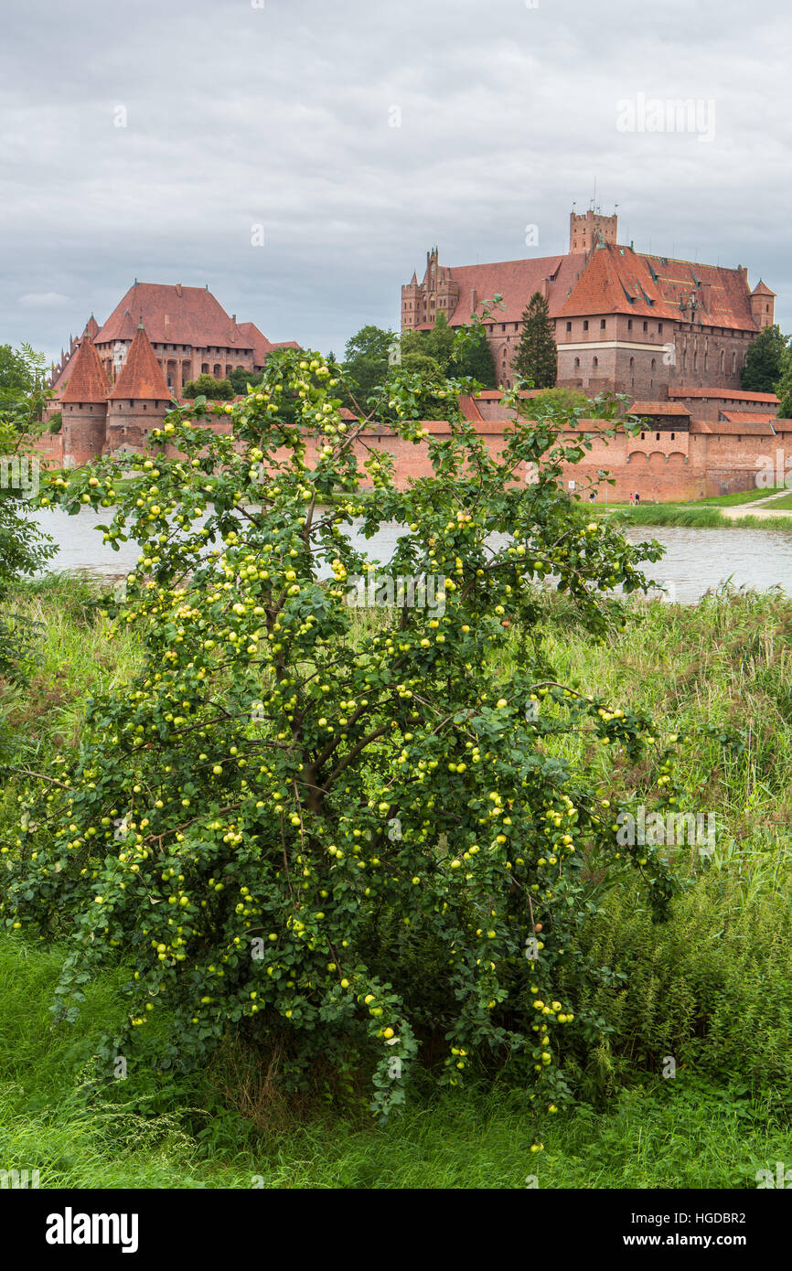 Castillo de Malbork en Marienburg Foto de stock