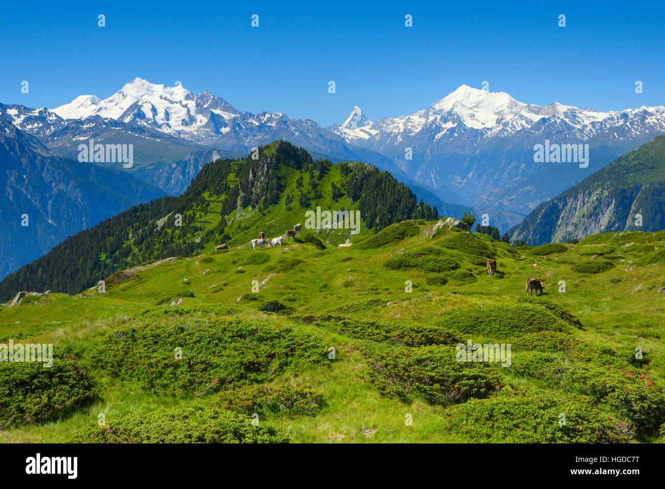 Alpes Suizos, Mischabel, Cervino, Weisshorn, Valais, Suiza Foto de stock