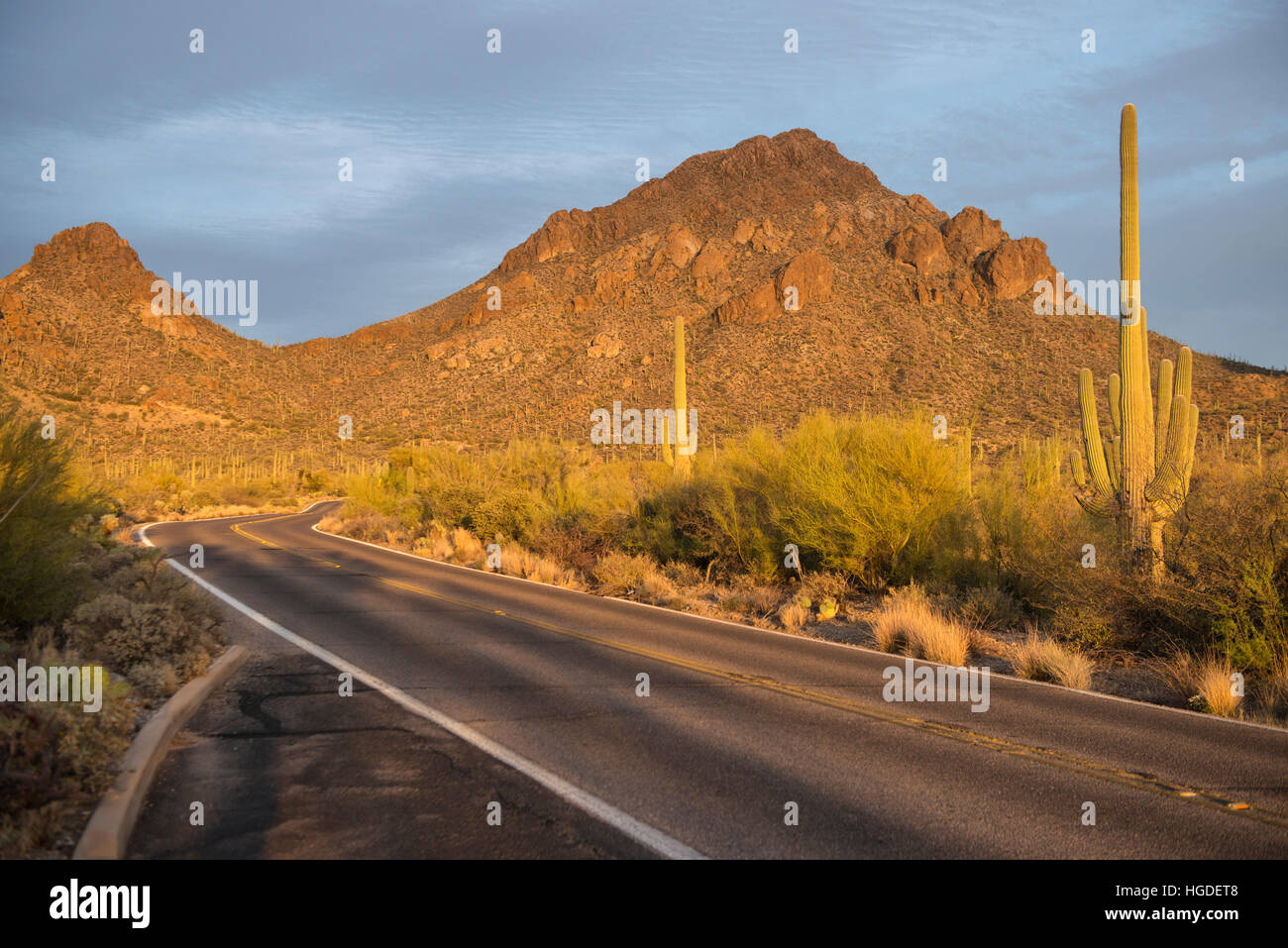 El Parque de montaña en Tucson TUCSON, Arizona, EE.UU. Foto de stock