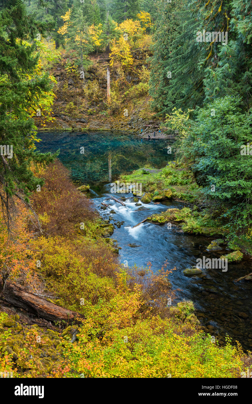 En Oregon, el Bosque Nacional de Willamette, Azul piscina sobre el río, piscina Tamolitch McKenzie, Foto de stock