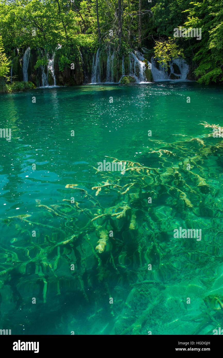 Los lagos de Plitvice, Parque Nacional Foto de stock