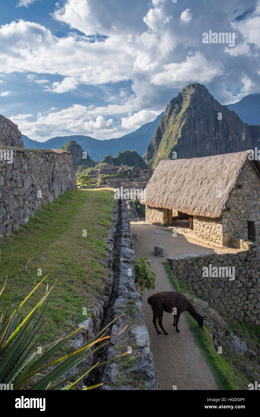 Sitio Inca de Machu Picchu. Foto de stock