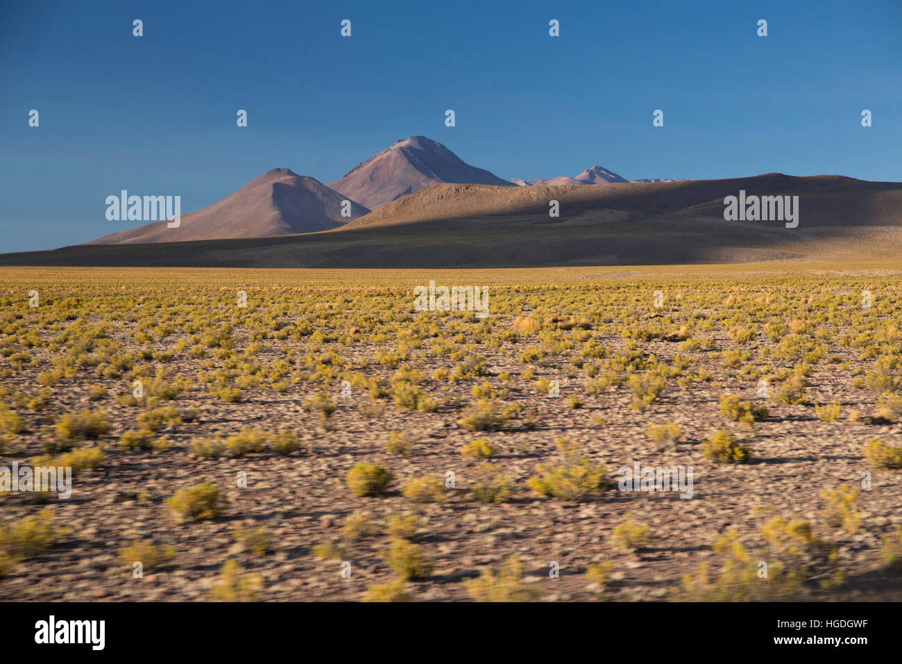 Valle de piedras en el desierto de Siloli, Foto de stock