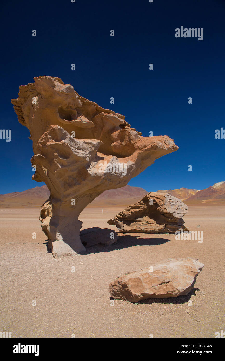 Arbol de Piedra árbol de piedra en el desierto de Siloli Foto de stock