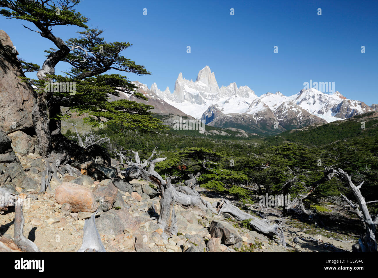 Vista del Monte Fitz Roy en la Laguna de Los Tres trail, El Chalten, Patagonia Argentina, Sudamérica Foto de stock