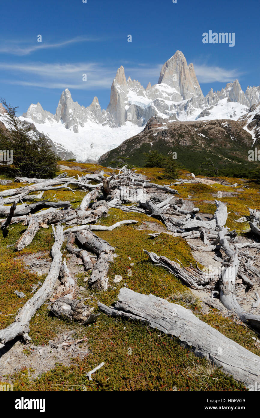 Vista del Monte Fitz Roy en la Laguna de Los Tres trail, El Chalten, Patagonia Argentina, Sudamérica Foto de stock