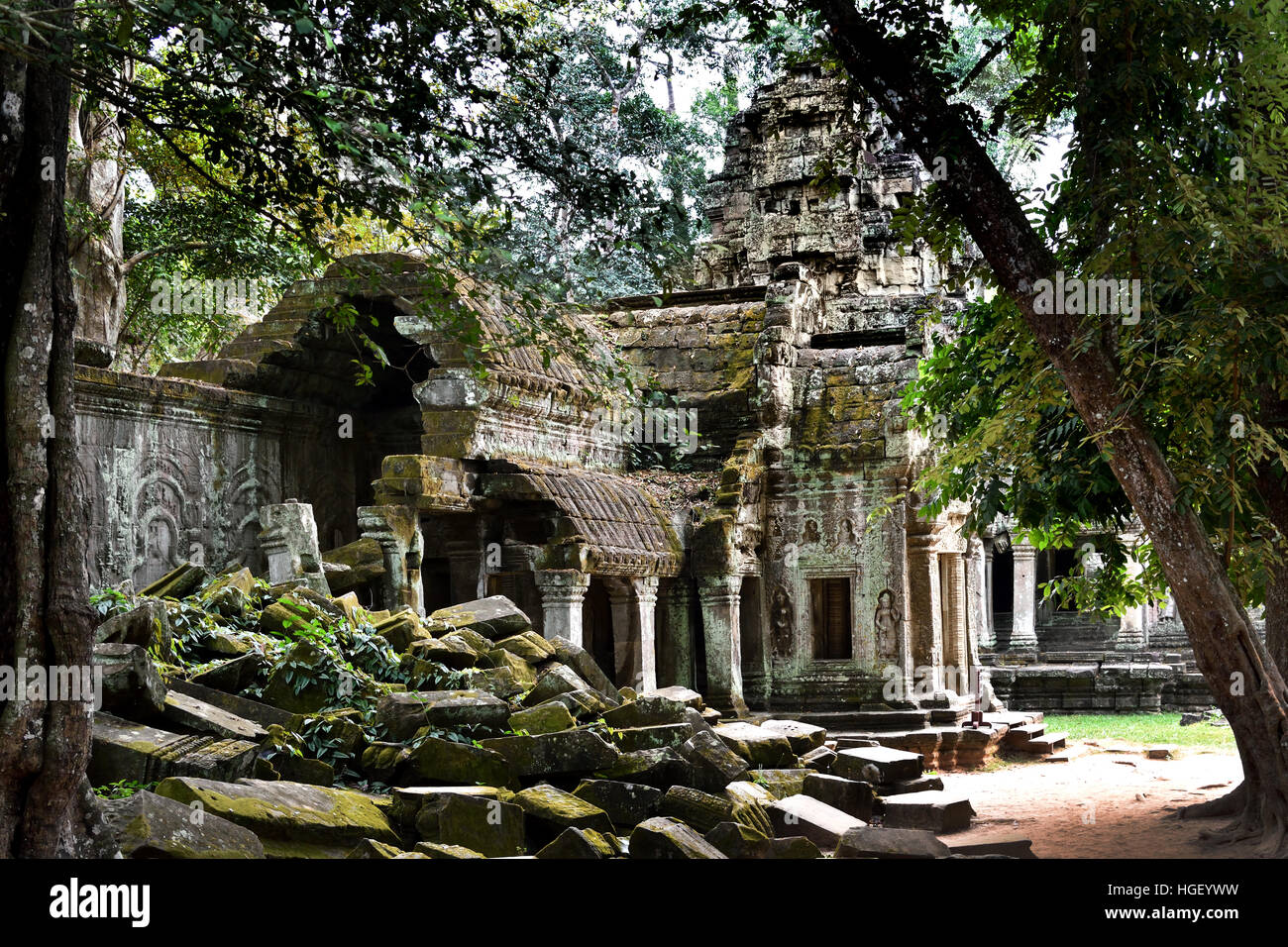 Ta Prohm Camboya, construido en el estilo Bayon principalmente a finales de los años 12 y principios de los siglos XIII y llamado originalmente Rajavihara.( Angkor complejo arqueológico de diferentes capitales del Imperio Khmer del siglo 9-15) Foto de stock