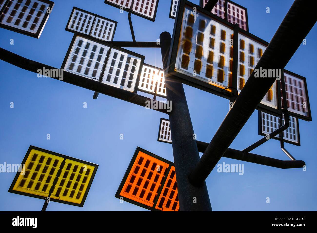 Paneles solares, árbol, Ulm, la Ciudad Solar, Ulm, Foto de stock