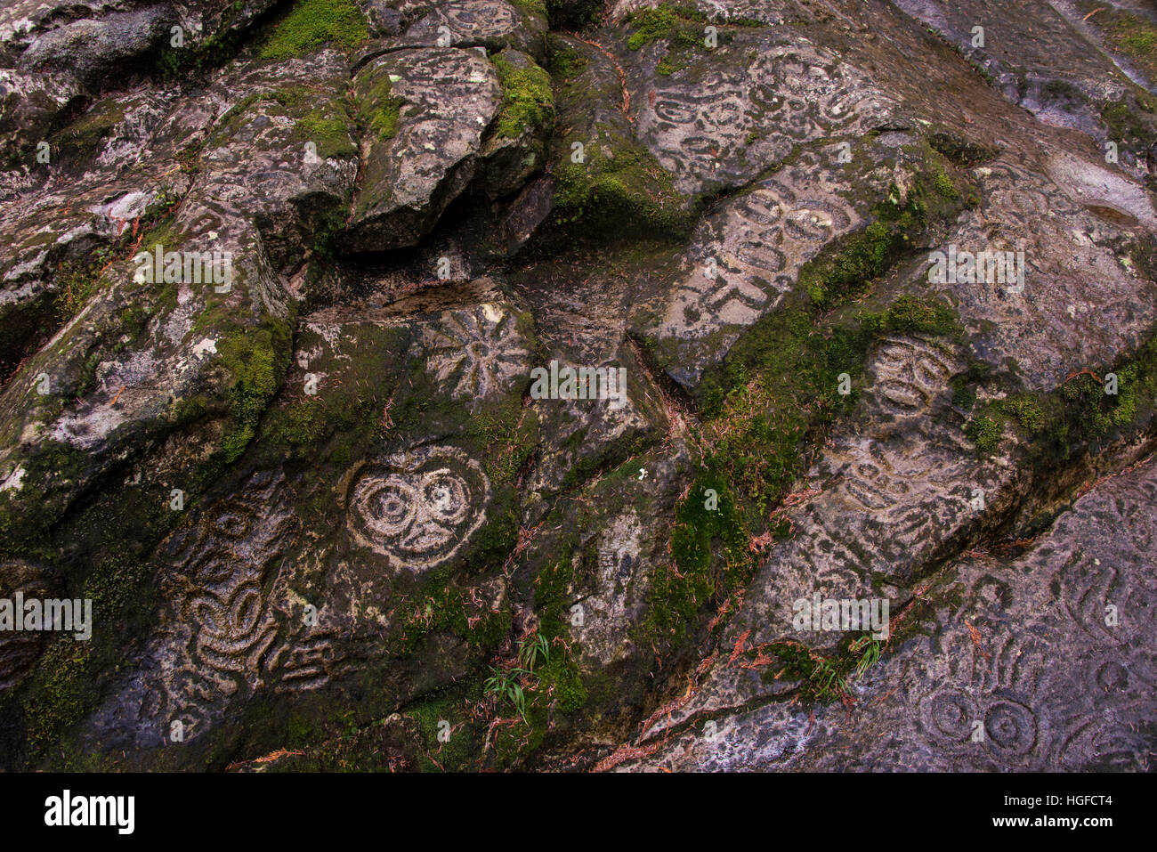 Bella Coola petroglifos, BC, Canadá Foto de stock