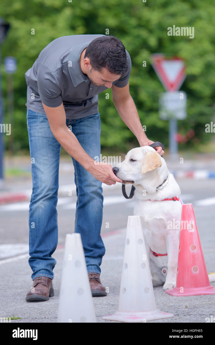 Adiestrador de Perros con un perro Foto de stock