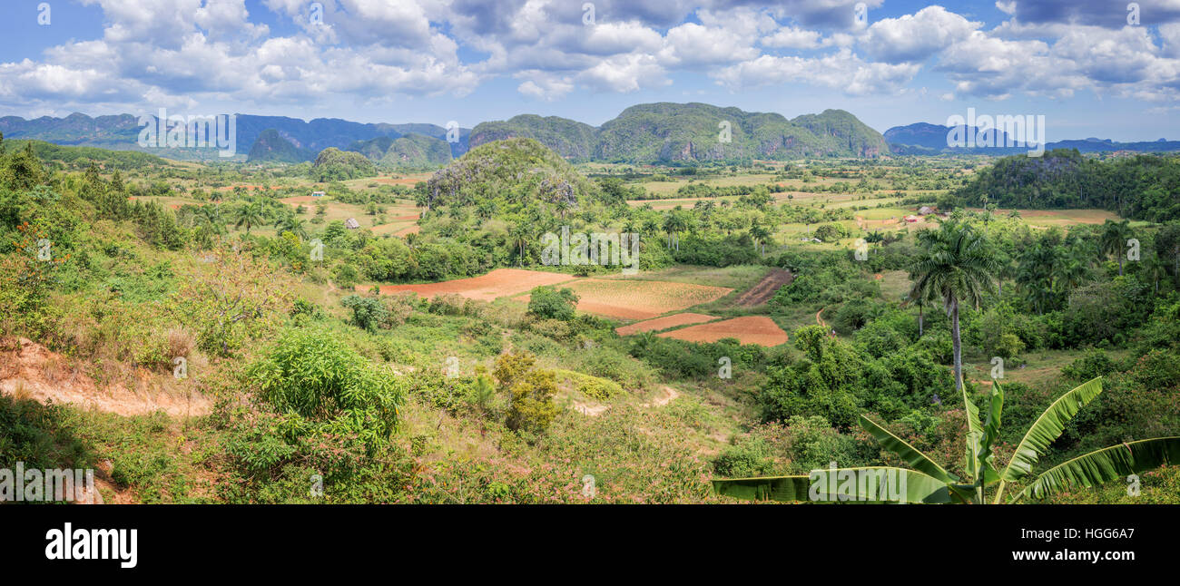 Panorama del Valle de Viñales, Cuba Foto de stock