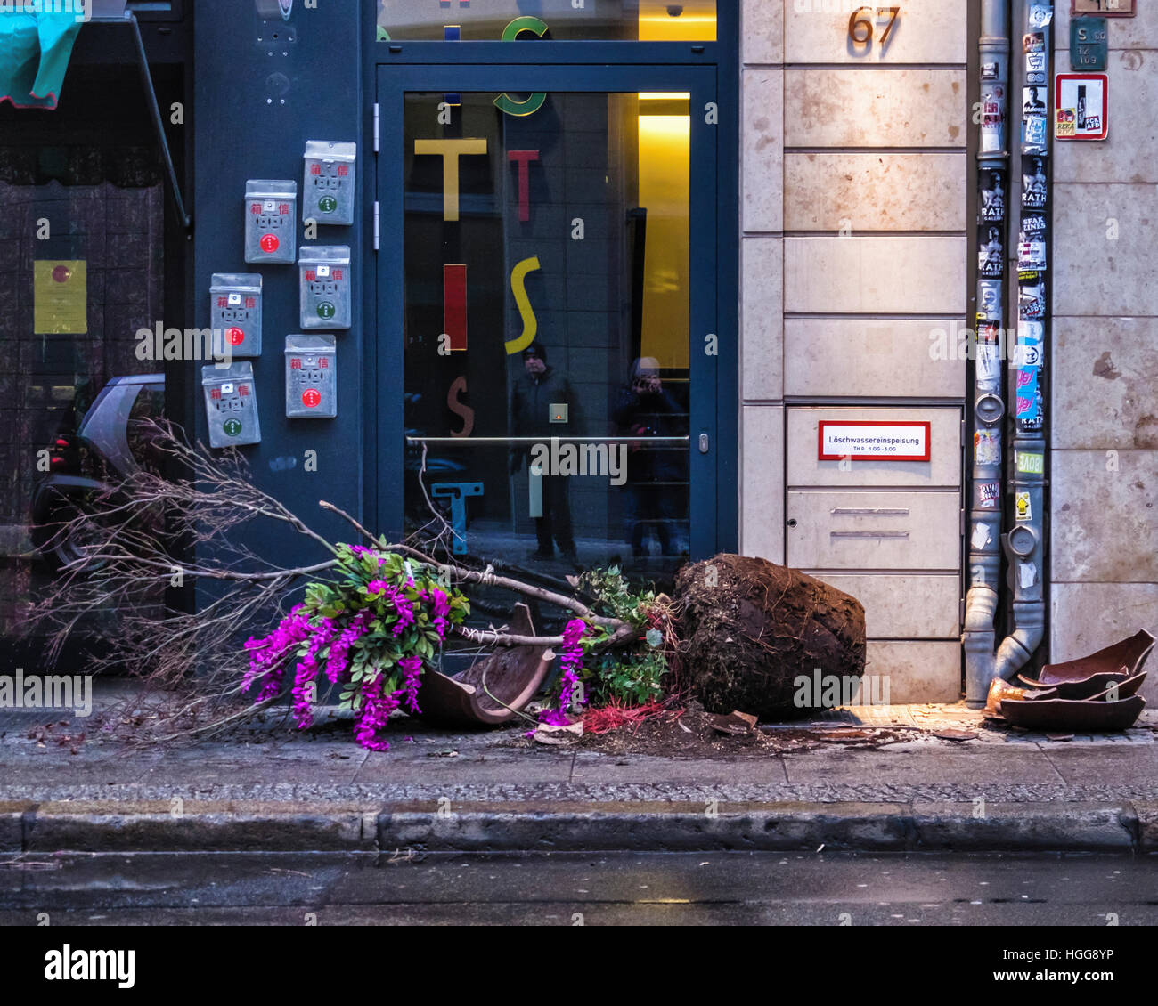 Berlín Mitte. El vandalismo. Destrozados, roto la maceta en el pavimento de las calles de la ciudad Foto de stock