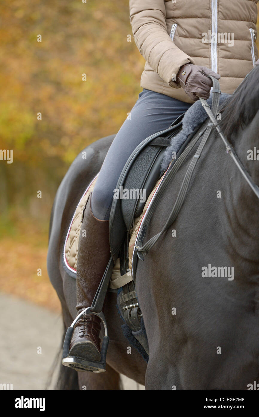 Riding boots man fotografías e imágenes de alta resolución - Alamy