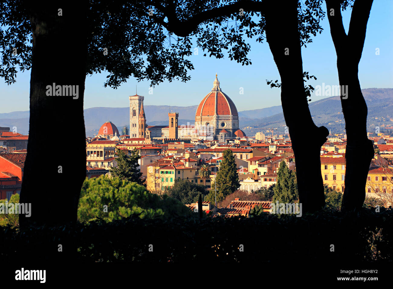 Firenze, la Cattedrale di Santa Maria del Fiore a través de los árboles en la Toscana, Italia Foto de stock