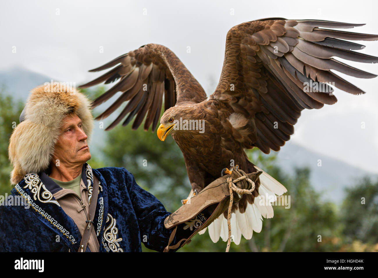 Cazador de águilas kazakas con trajes tradicionales sosteniendo su águila dorada en Almaty, Kazajstán. Foto de stock