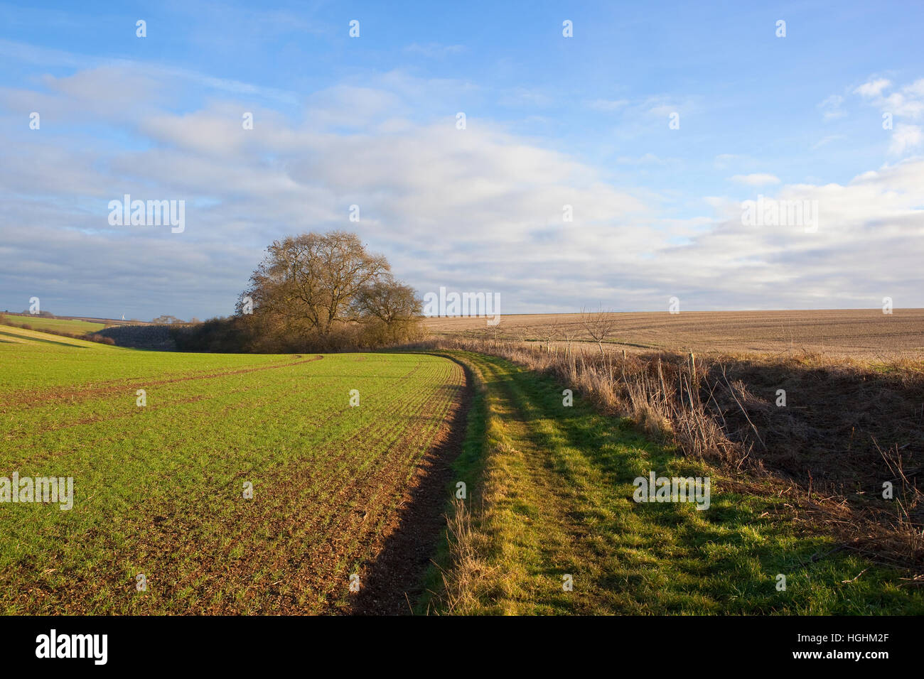 Un césped bridleway inglés a través de un paisaje de cultivos, pastos y