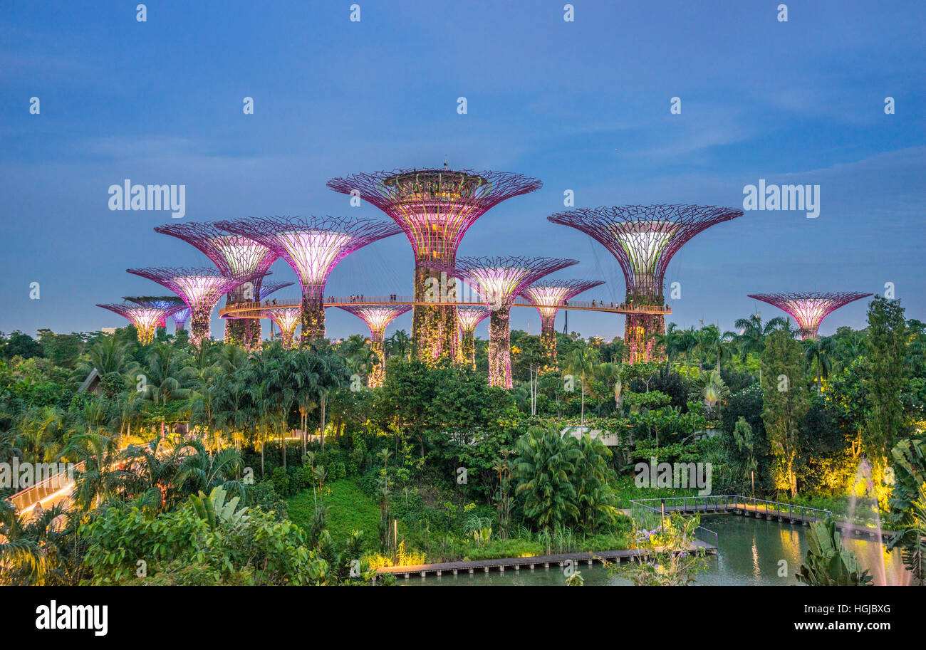 Singapur, jardines junto a la bahía, vista de noche de la Supertree Grove Foto de stock