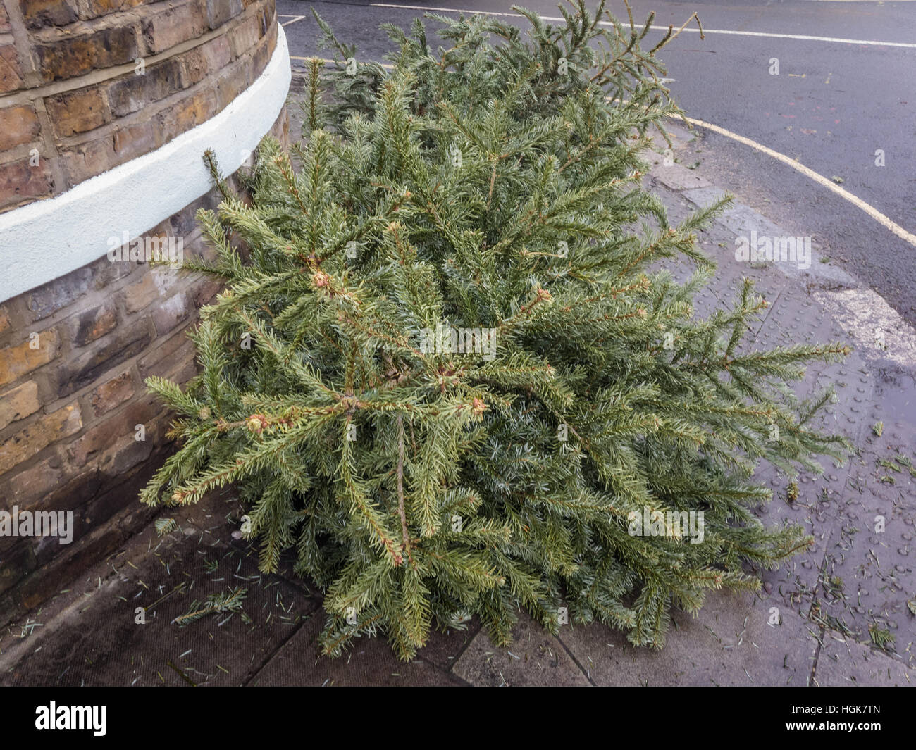 Viejos árboles de Navidad descartados después de Navidad, listo para la recolección Foto de stock