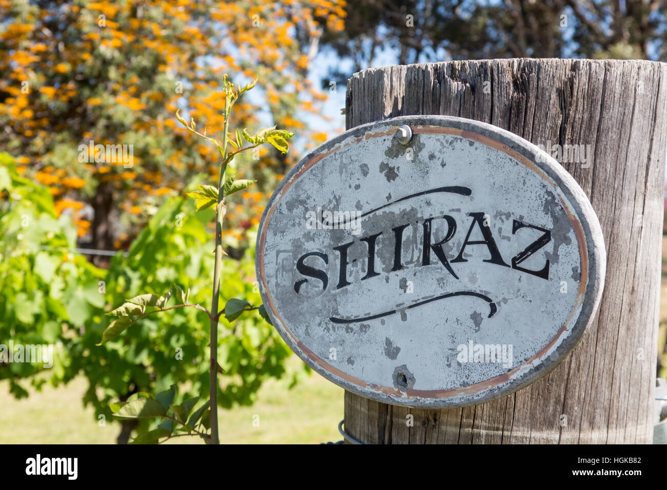 Shiraz firmar en un poste de madera en viña Pepper Tree Vinos Pokolibin Hunter Valley, Nueva Gales del Sur (NSW, Australia Foto de stock