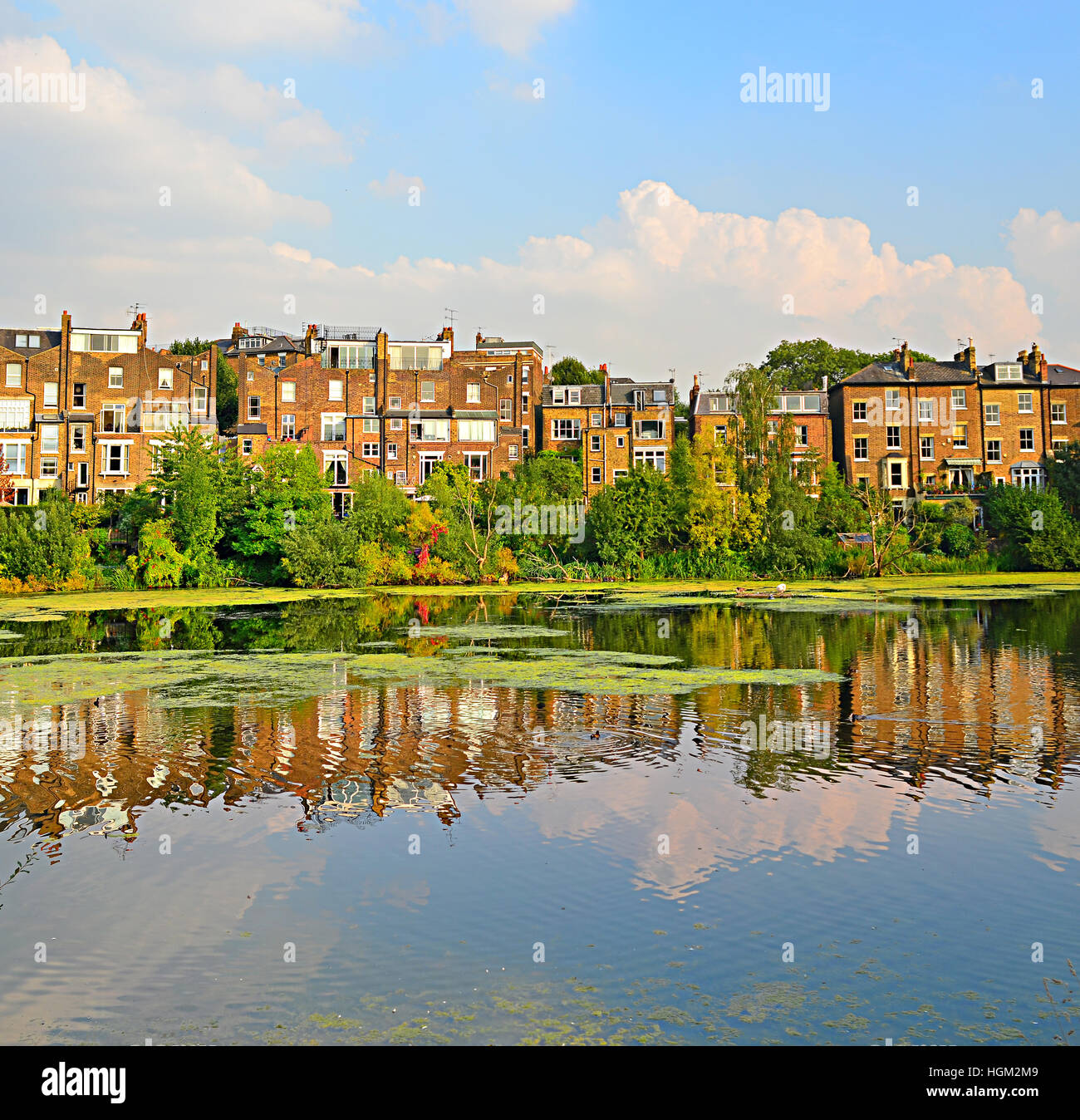 Hampstead Heath estanque con la creación de reflejos. Foto de stock
