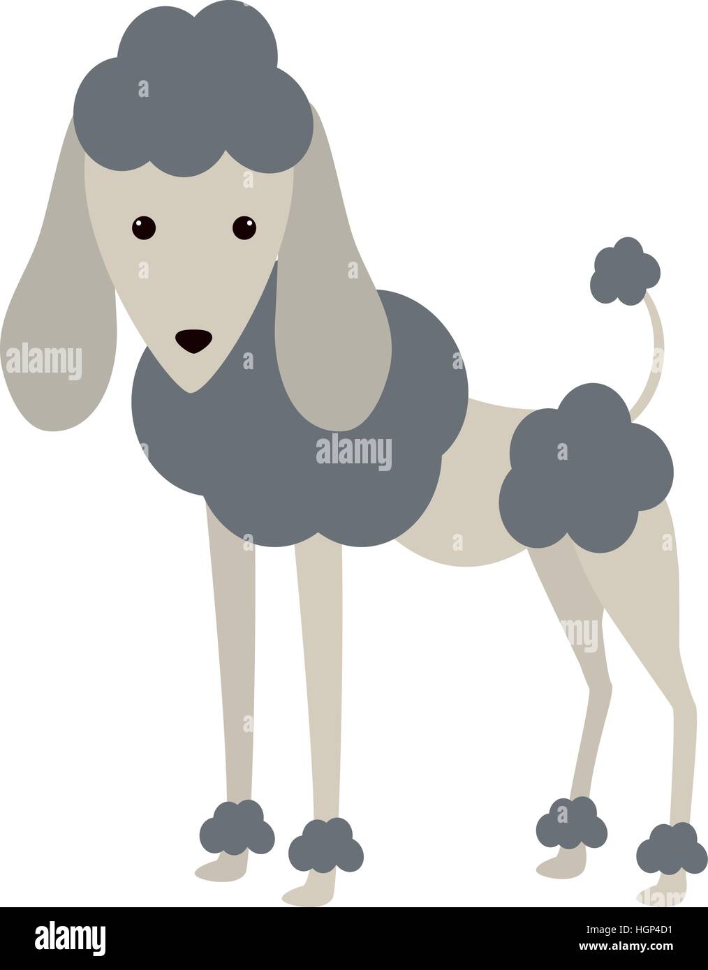 Cute dibujos animados icono de perros caniche sobre fondo blanco. coloful  diseño ilustración vectorial Imagen Vector de stock - Alamy