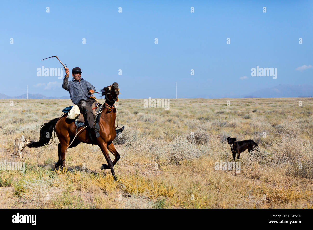 El jinete kazajo y sus perros en las estepas, en la aldea de Paxat, Kazajstán. Foto de stock