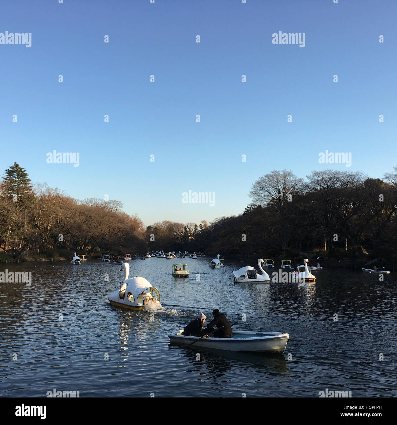 Pedalo De Cisne Fotos E Imagenes De Stock Pagina 4 Alamy Pedalo De Cisne Fotos E Imagenes De Stock Pagina 4 Alamy