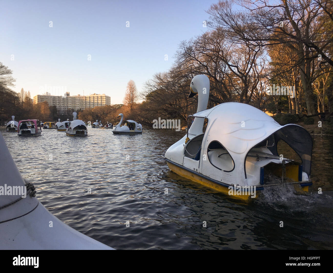 Pedalo De Cisne Fotos E Imagenes De Stock Pagina 4 Alamy Pedalo De Cisne Fotos E Imagenes De Stock Pagina 4 Alamy
