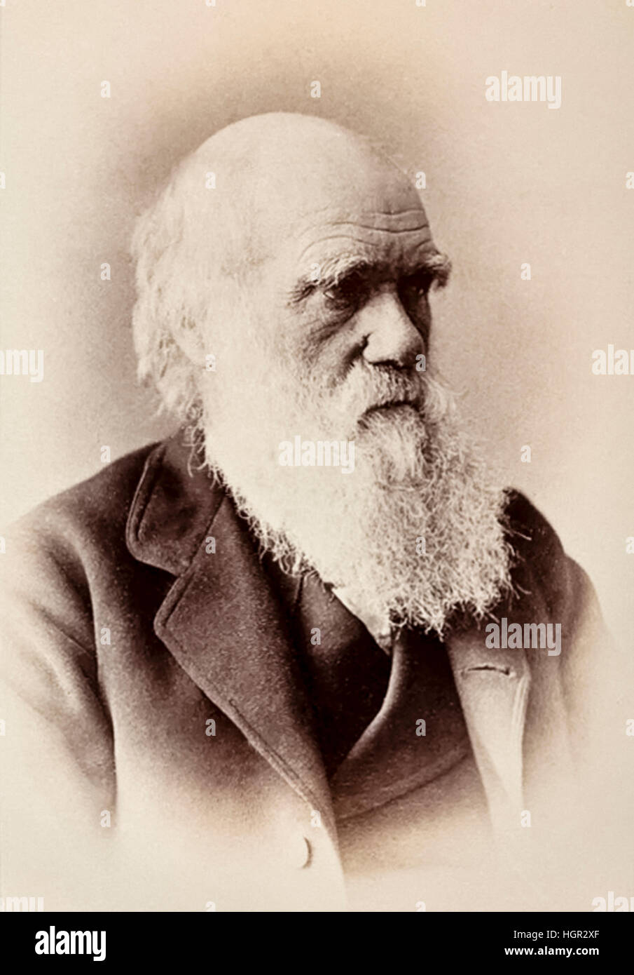 Charles Darwin (1809-1882) naturalista Inglés que estableció por primera  vez su teoría de la evolución y selección natural en su libro "El origen de  las especies", publicado en 1859. Fotografía tomada en