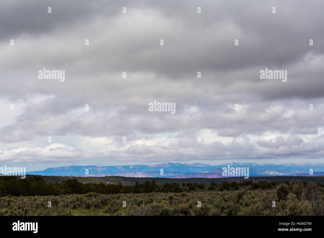 Artemisa y sabinas cubriendo las extensiones abiertas en el norte de la Meseta de Kaibab. Kaibab National Forest, Arizona Foto de stock