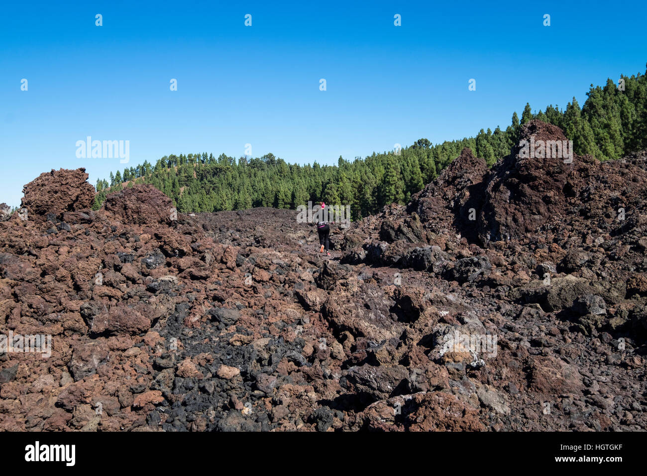 Runner cruzar la lava solidificada del volcán Chinyero en el Teide, Tenerife, Islas Canarias, España Foto de stock