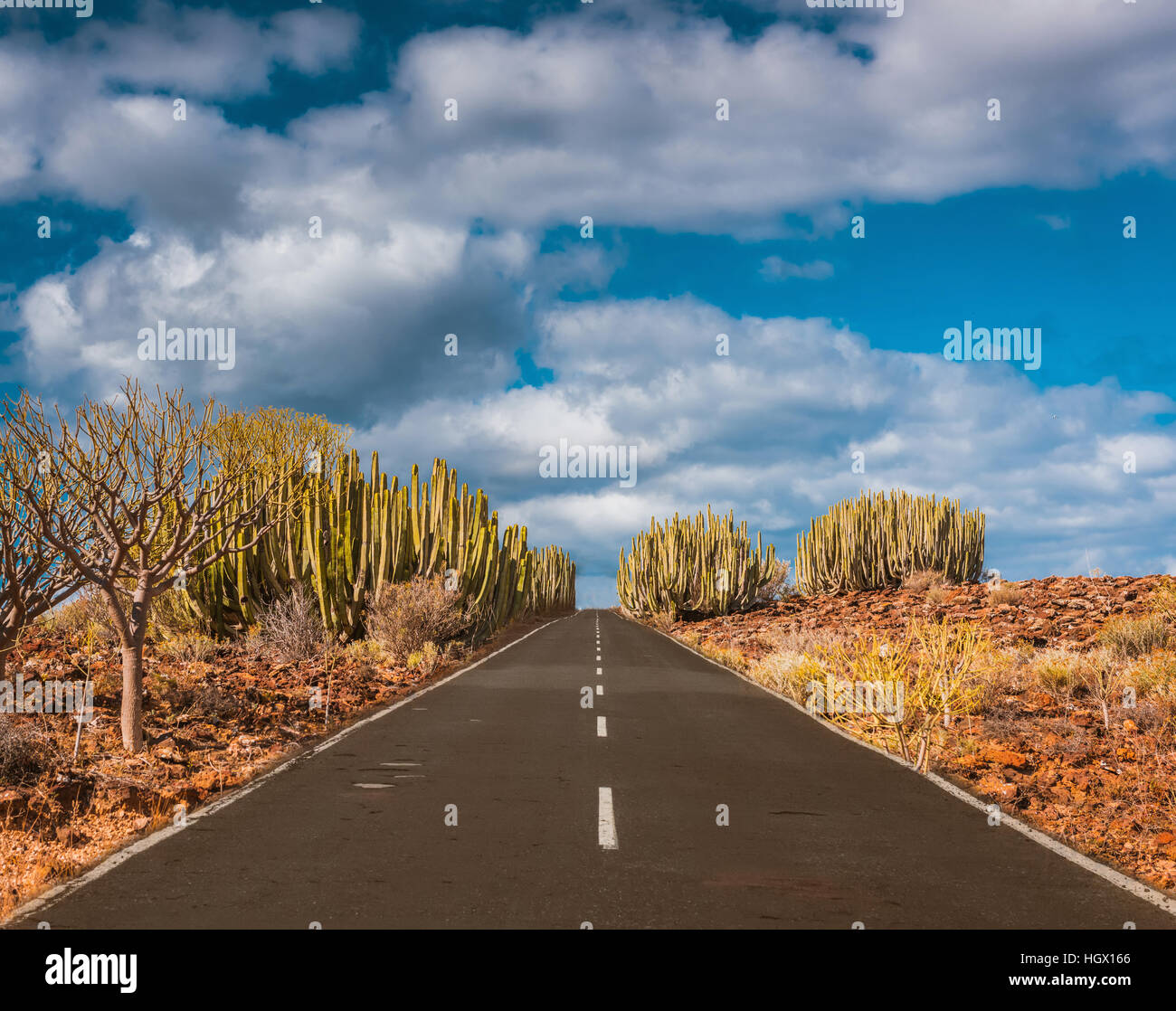 Road en el desierto volcánico de Tenerife, Canarias. Asfalto y línea blanca en la carretera Foto de stock