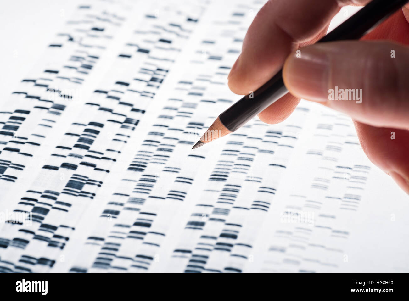 Los científicos examinaron el ADN de gel que se utiliza en la genética, la medicina, la biología, la investigación farmacéutica y la medicina forense. Foto de stock