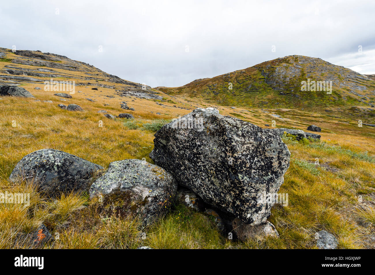 Rocas cubiertas de líquenes en un barridas por el viento de la tundra. Foto de stock