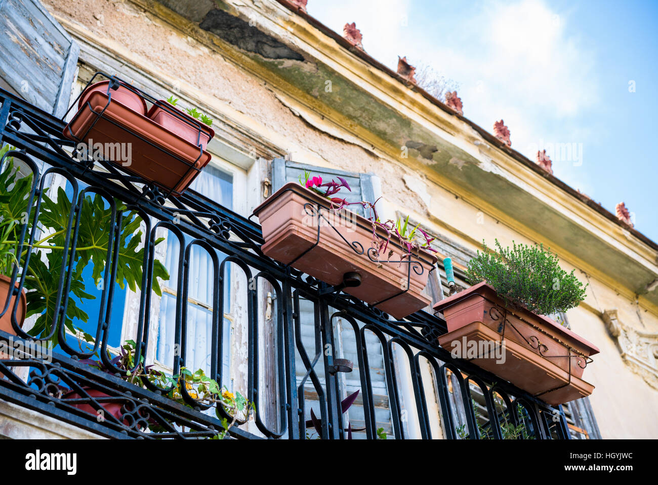 Terrazajardín tradicional de una casona antigua de Atenas, Plaka