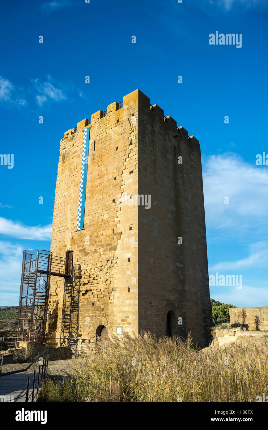Foto de Ruinas del Castillo en Urriés, Zaragoza