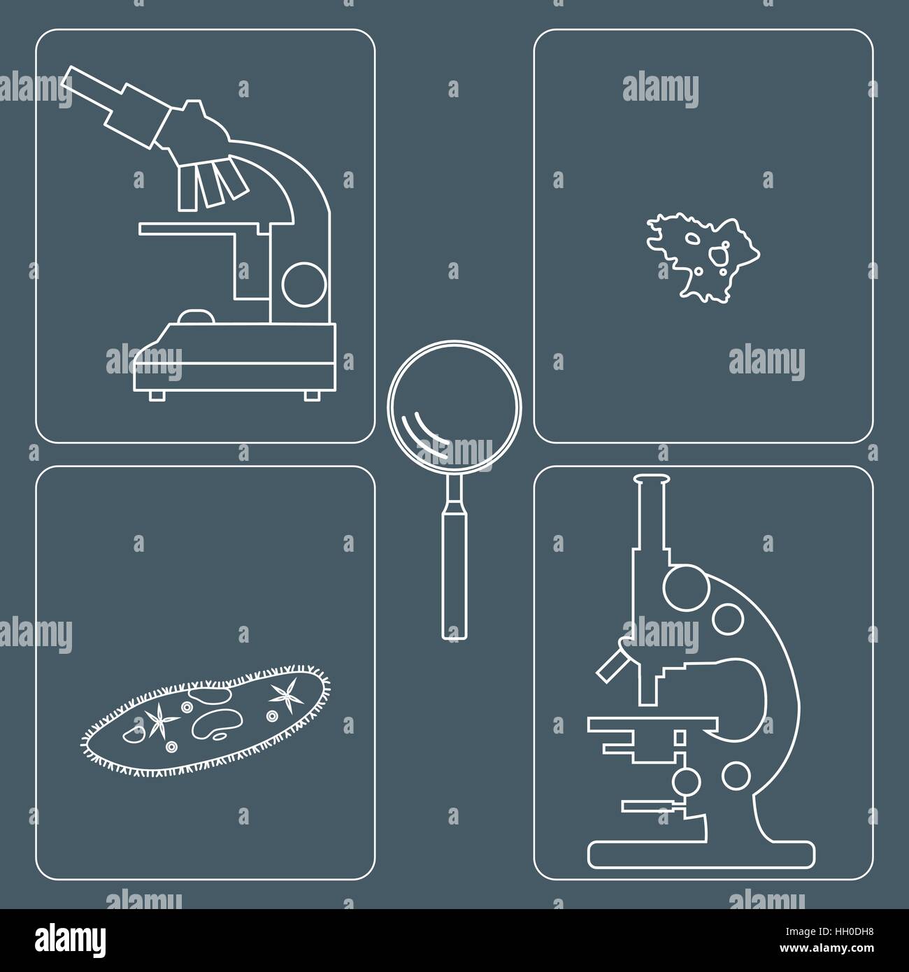 Iconos estilizados de microscopios, lupa, ameba, ciliados-zapatilla. Dispositivo de aumento signo. Símbolo de equipo de laboratorio. Ilustración del Vector